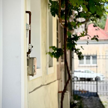 4Friendscentrubrasov Lejlighed Eksteriør billede